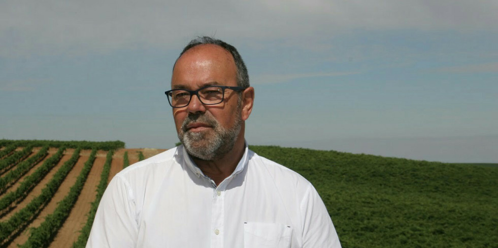 Urgen a Agricultura incrementar las medidas contra la PPA tras el salto a Italia