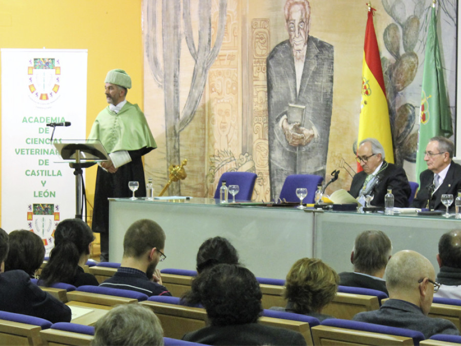 Academia veterinaria castilla y león