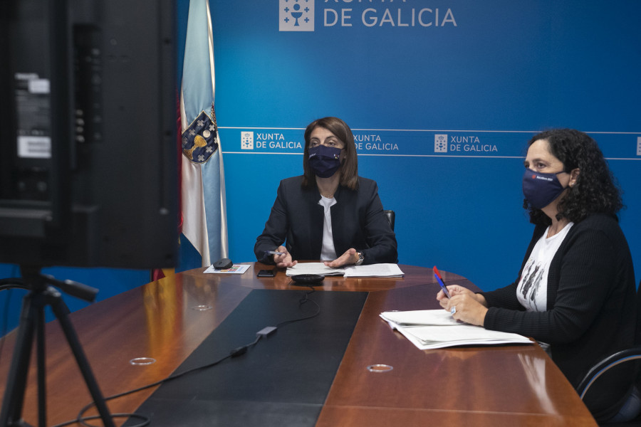 Lobo galicia