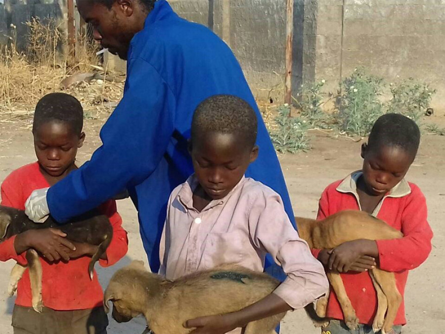 Namibia servicios veterinarios áfrica rabia