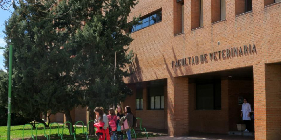La Universidad de León busca candidatos para desarrollar la tesis doctoral en el Área de Inmunobiología