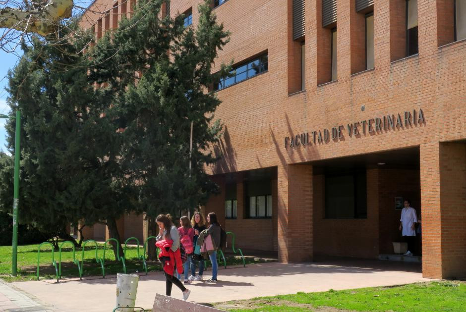 La Universidad de León busca candidatos para desarrollar la tesis doctoral en el Área de Inmunobiología