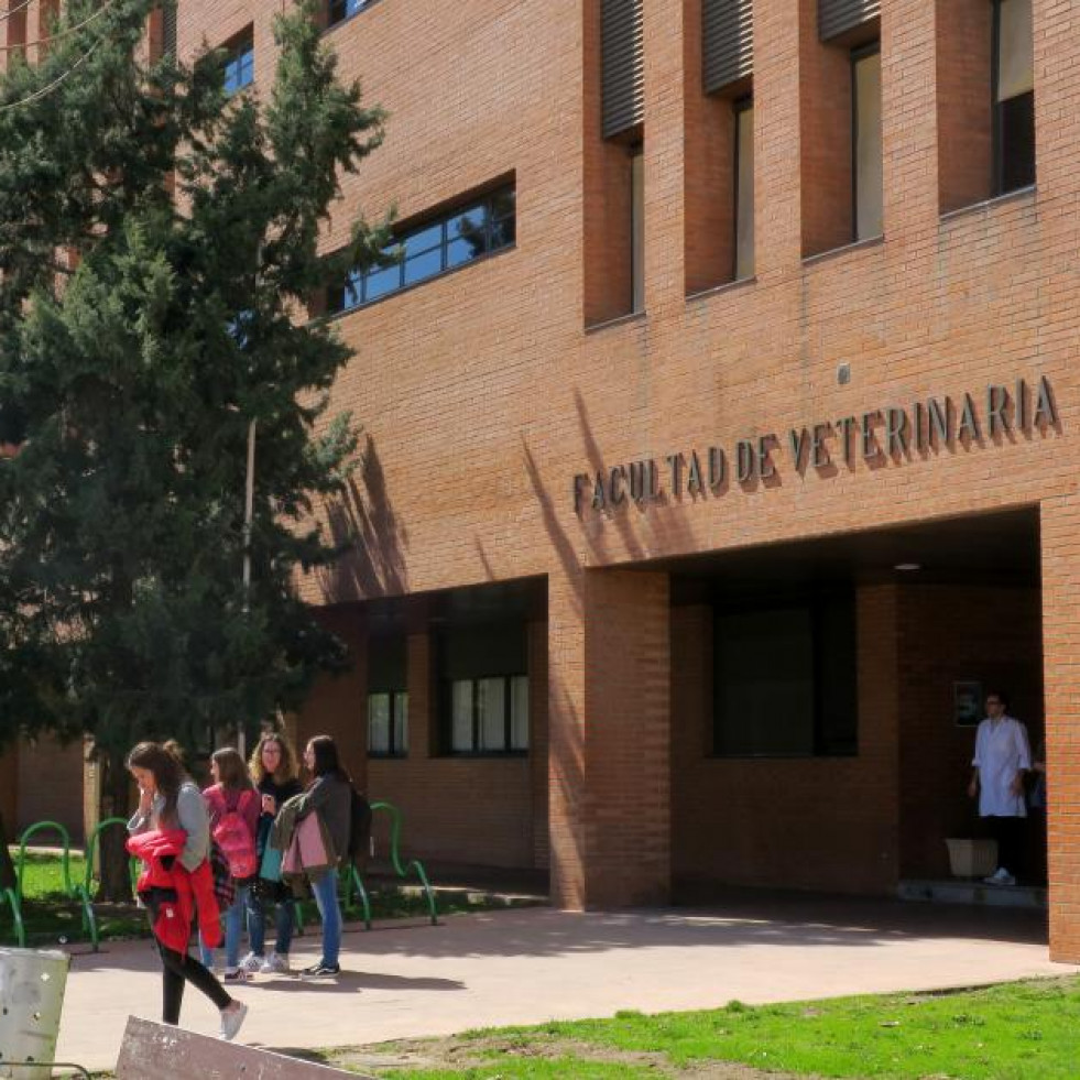 La Universidad de León busca candidatos para desarrollar la tesis doctoral en el Área de Inmunobiología