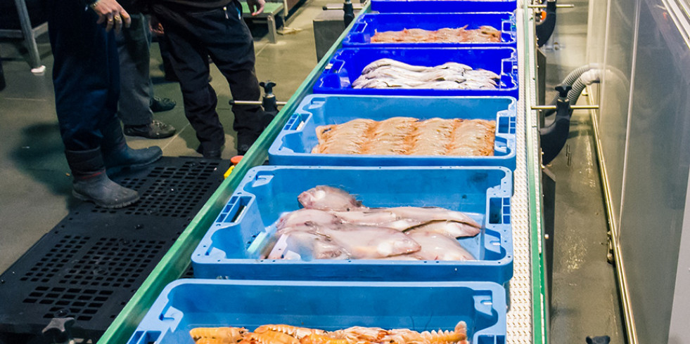 Decálogo de la seguridad alimentaria de ayer, hoy y mañana