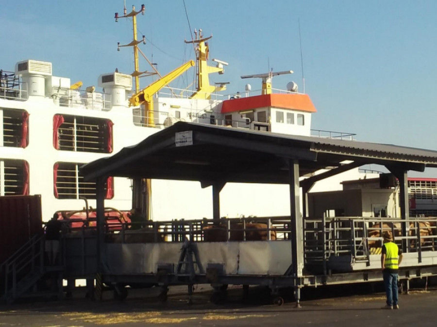 Transporte marítimo animales