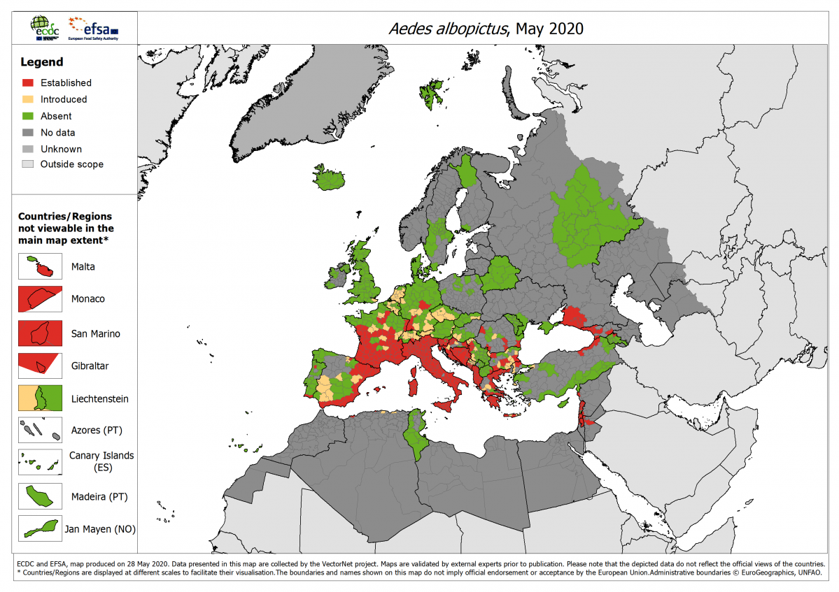 Aedes albopictus Europa 2020