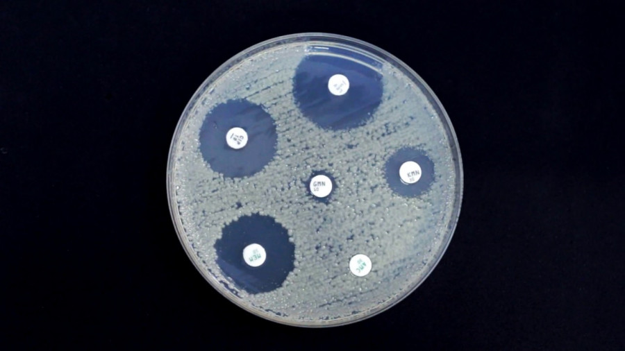 Resistencia antibióticos