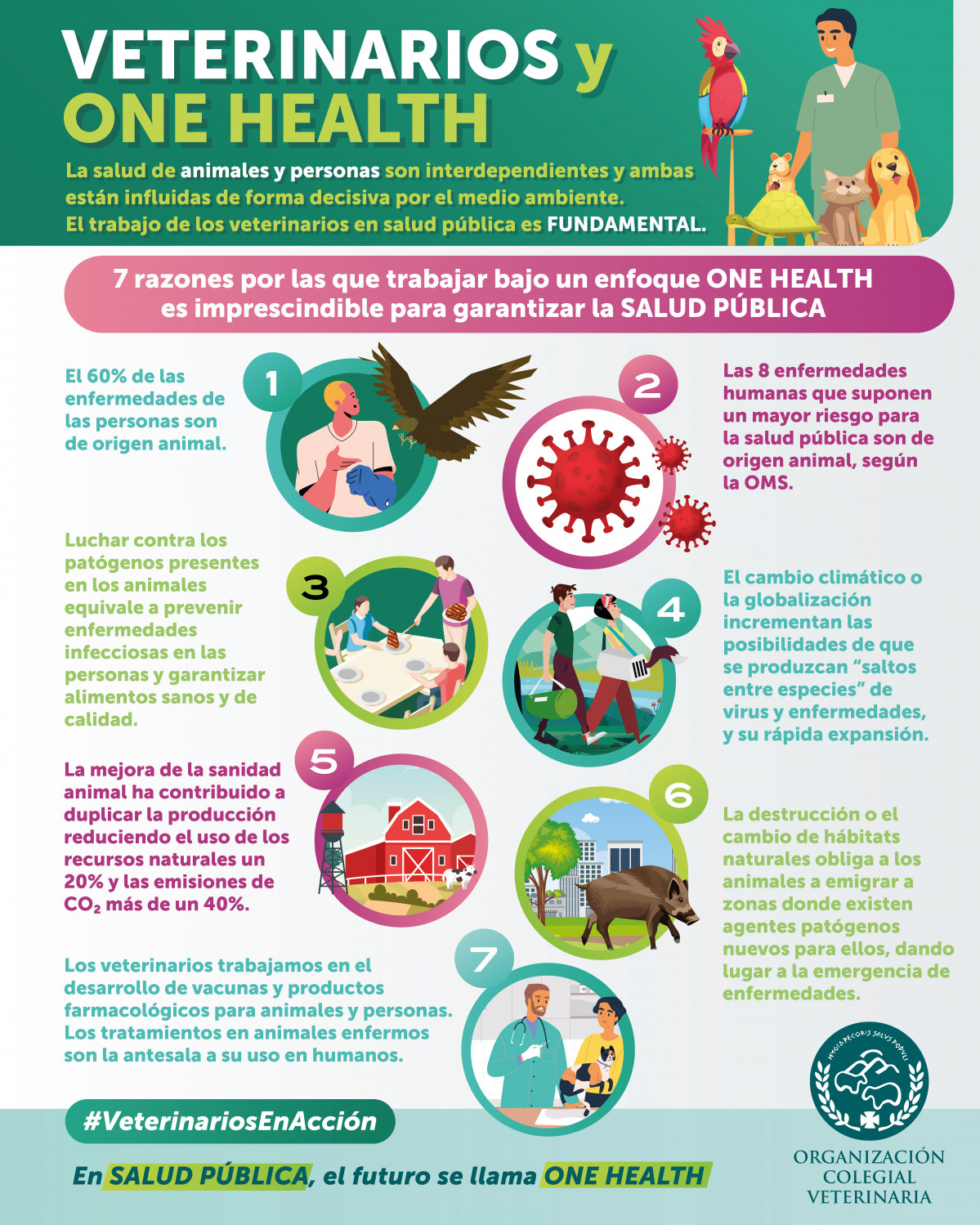 Infografia One Health