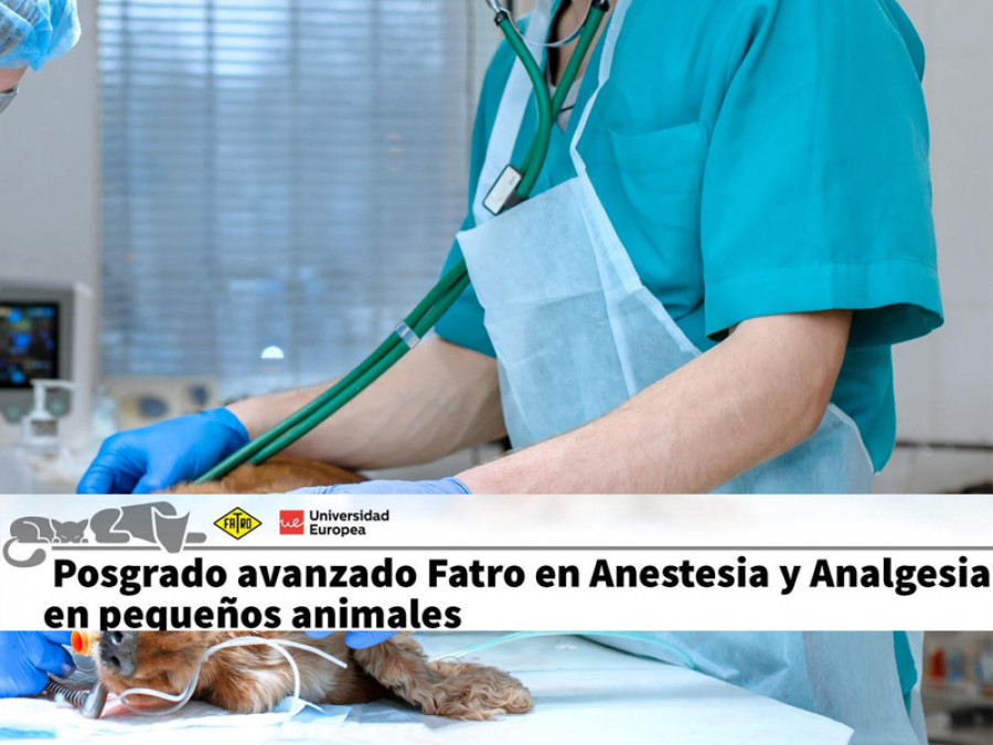 Fatro posgrado anestesia