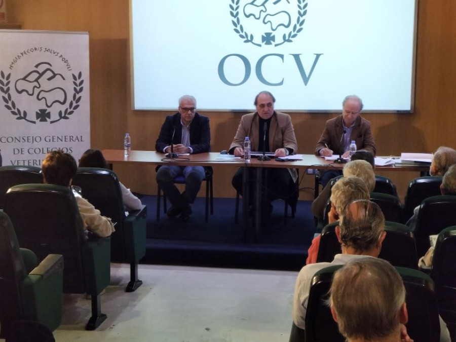 Asamlea general ocv