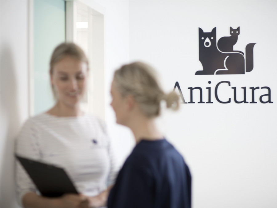Anicura aniversario
