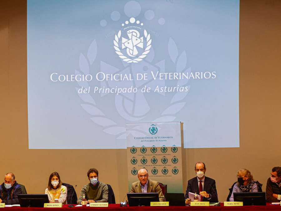 Asamblea veterinarios asturias
