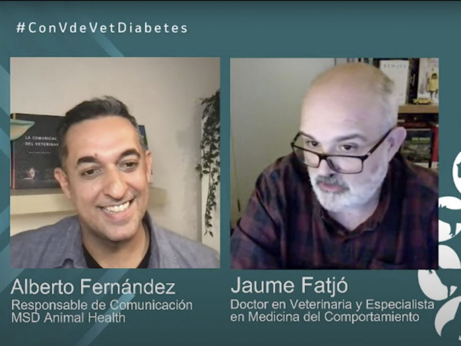 Con v de vet jaume fatjó