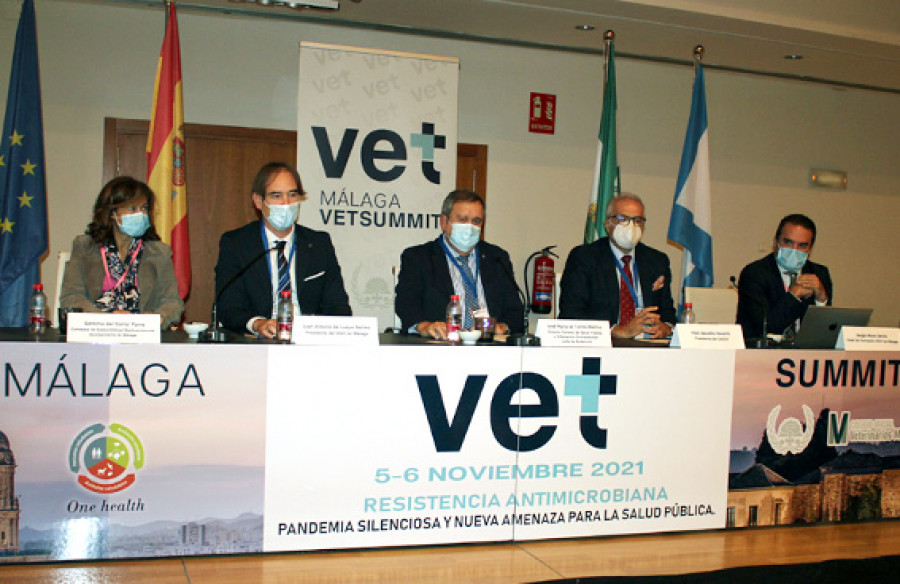 Summit málaga