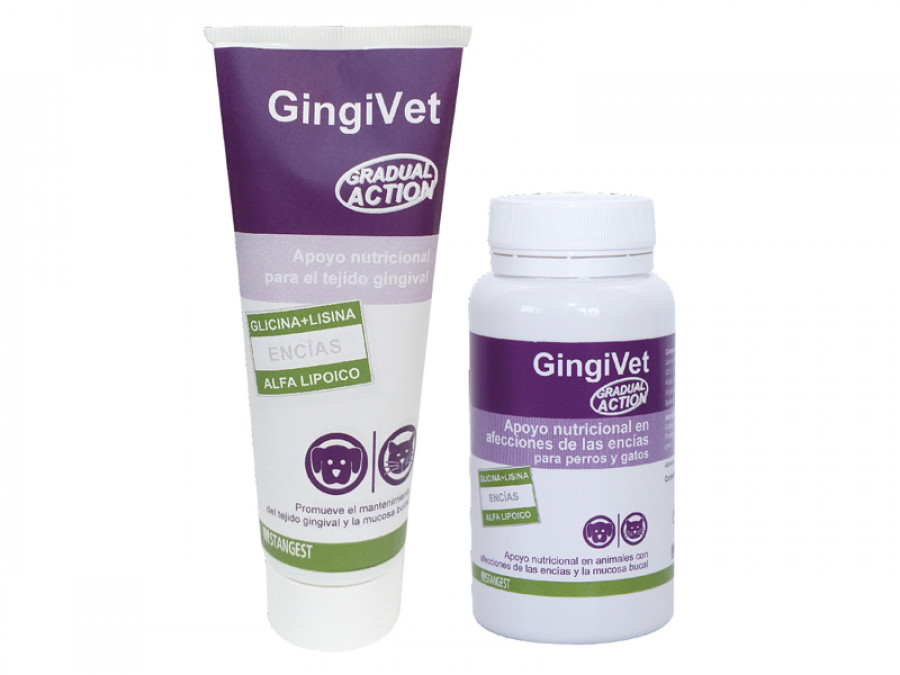 Gingivet stangest