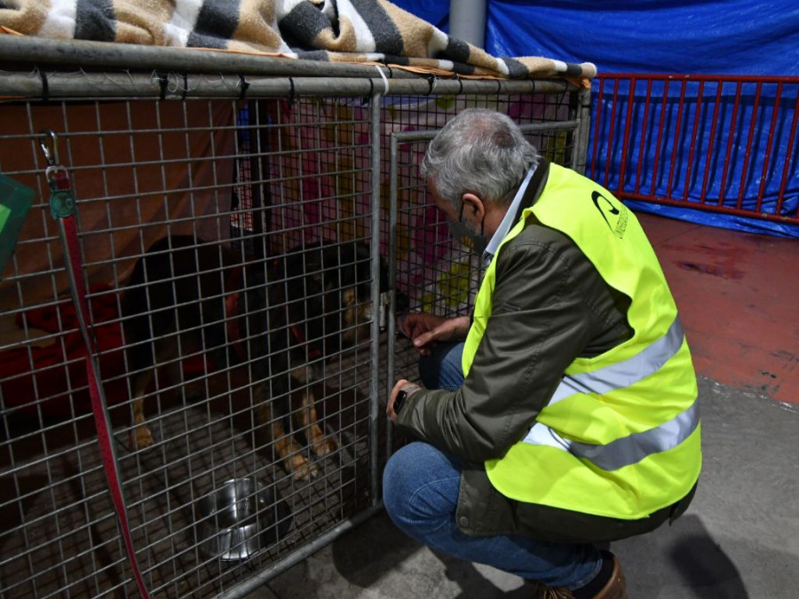 veterinarios la palma