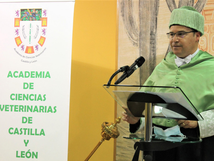 Raúl manzano román