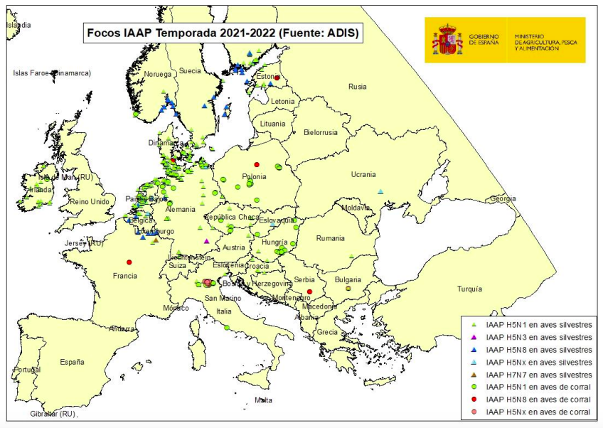 Focos IA Europa temporada 2021-2022 (hasta 25 noviembre 2021) (fuente ADIS)