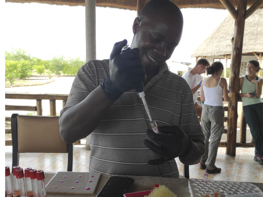 Veterinarios daktari uganda
