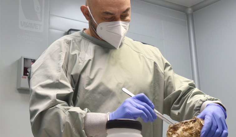 “Conocer la veterinaria forense puede concienciar contra el maltrato animal”