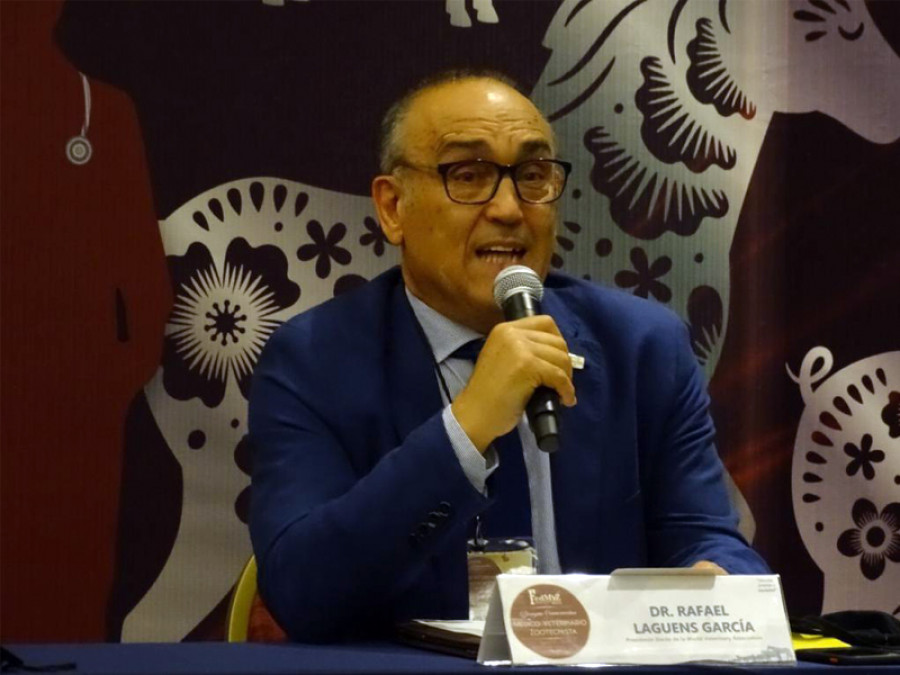 Rafael laguens