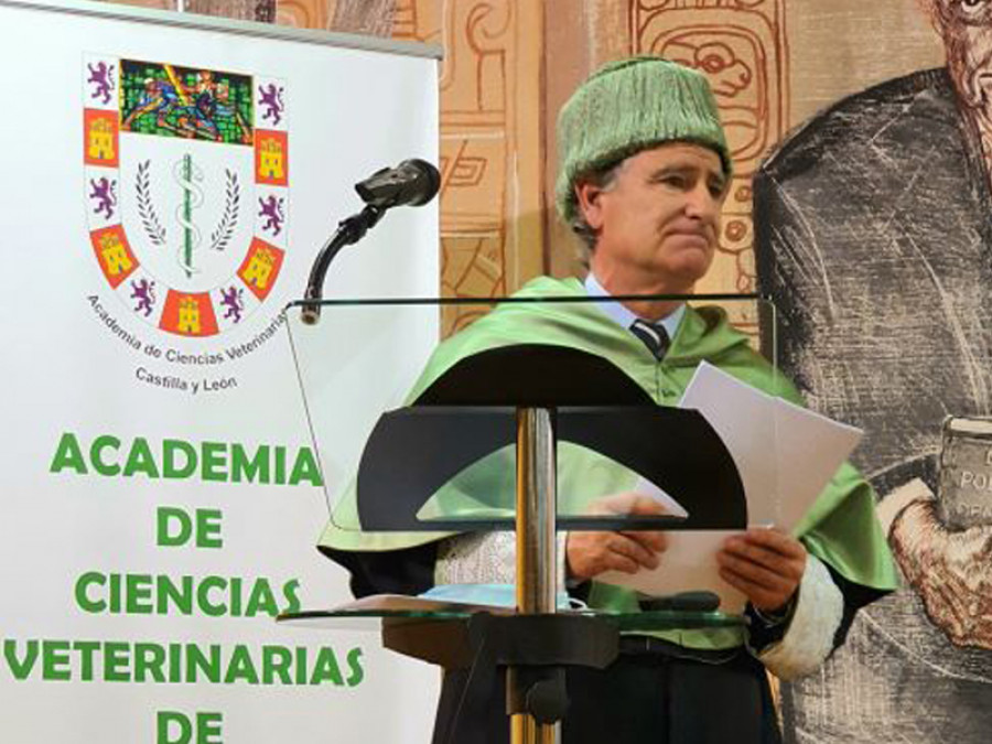 Rufino rivero academia castilla  y león