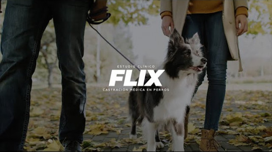FLIX, estudio clínico castración médica en perros