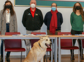 Publican un estudio sobre el comportamiento del perro pastor gallego