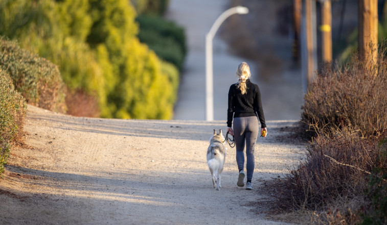 Enero, mes dedicado al paseo de perros y dueños para fomentar una vida saludable