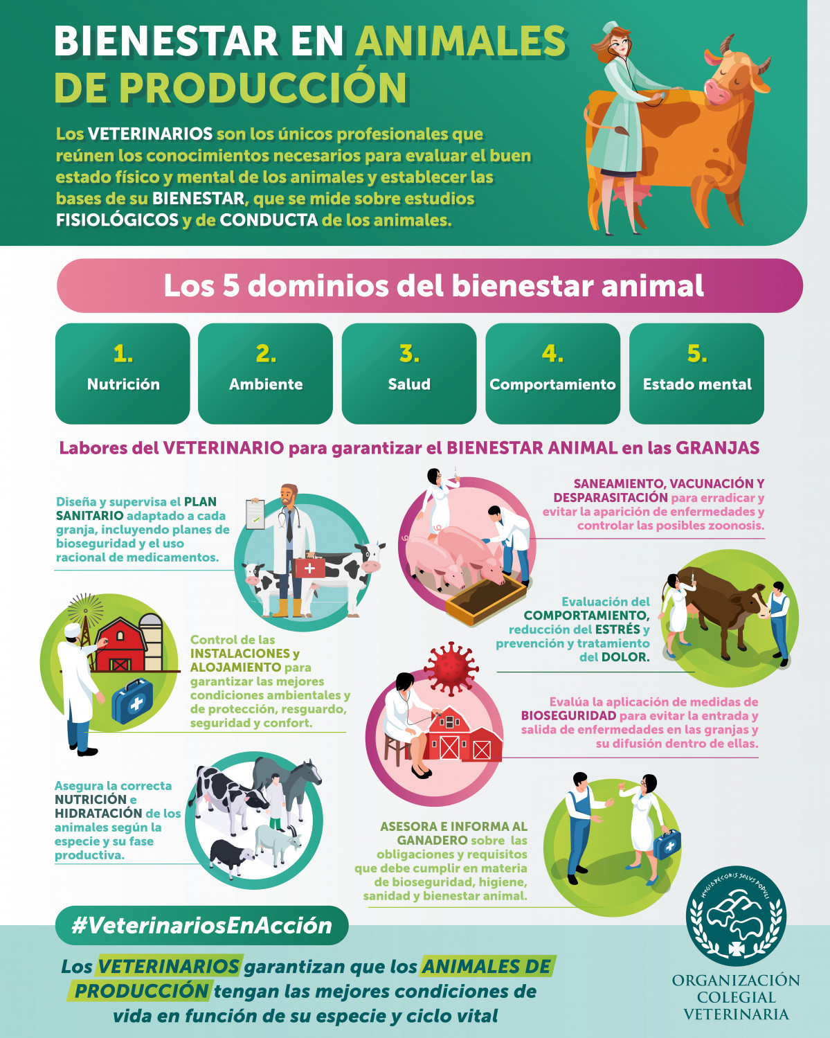 17 1 Infografu00eda OCV Bienestar animal en animales de producciu00f3n