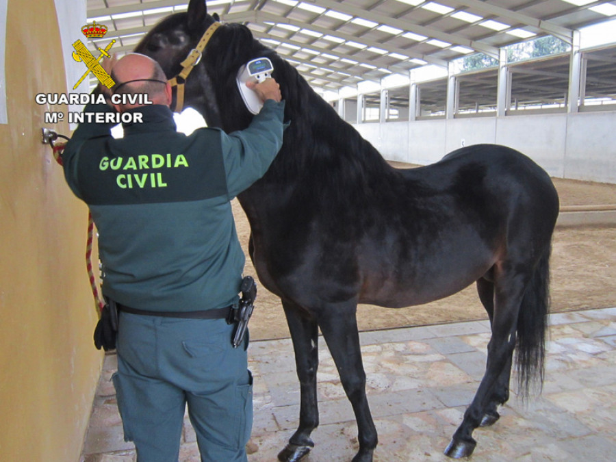 Guardia civil caballo