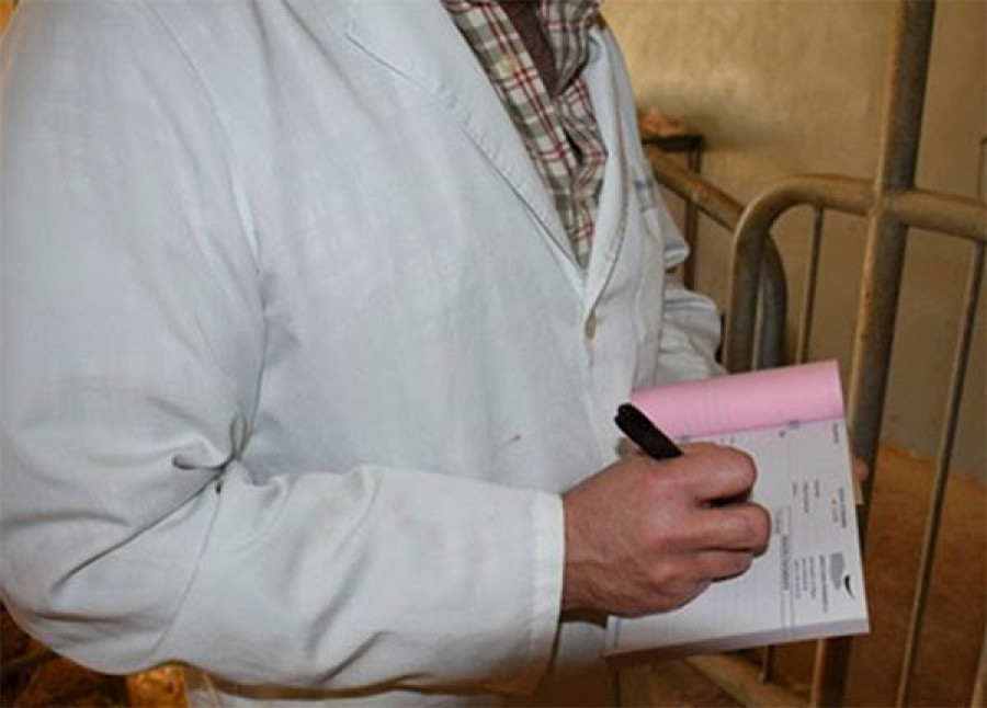 Prescripción medicamentos receta