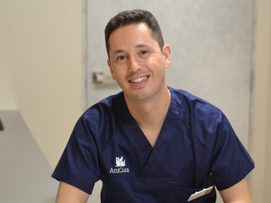 Ignasi rodríguez anicura