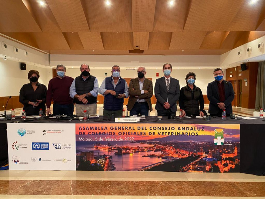 Asambela consejo andaluz veterinario
