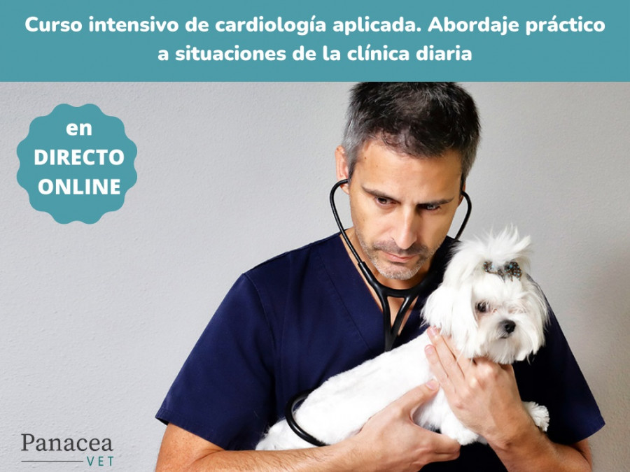 Curso cardiologia online