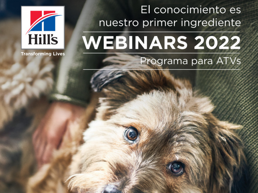 Webinar hills