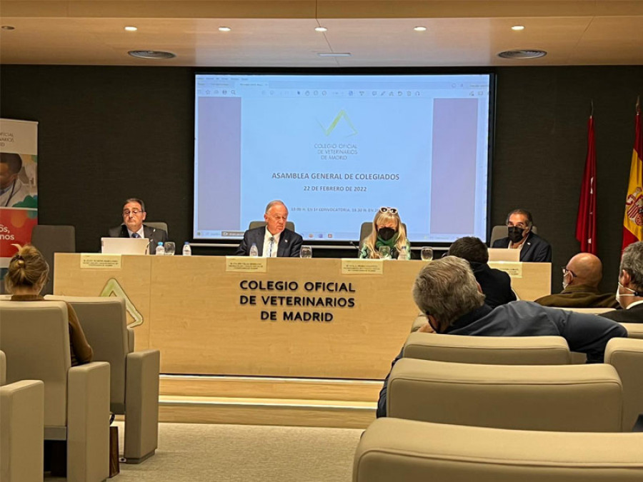 Colegio veterinario madrid asamblea