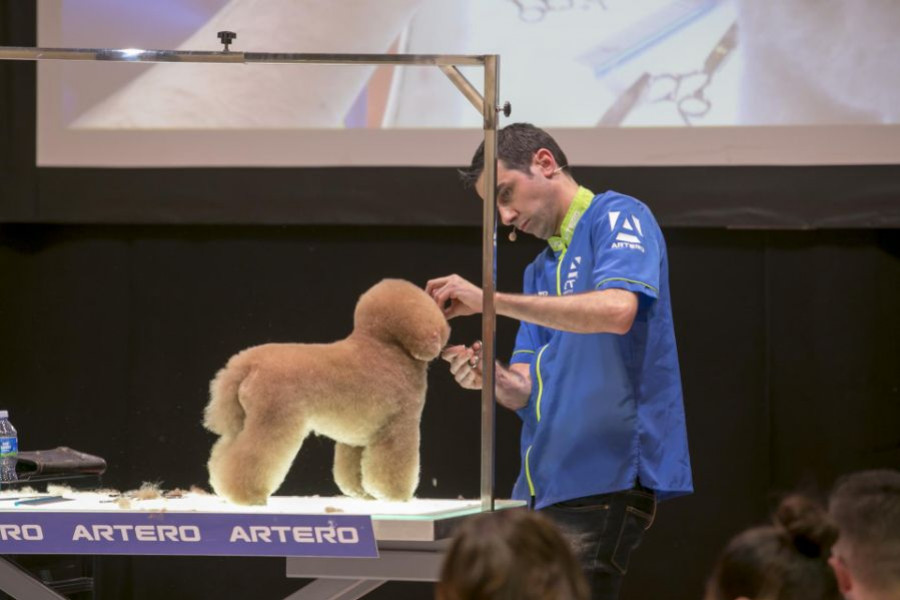 IBERZOO PROPET 2020 Marzo 001