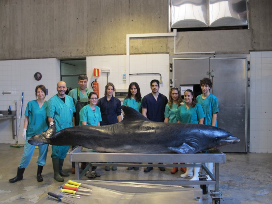 veterinarios iusa patólogos canarias