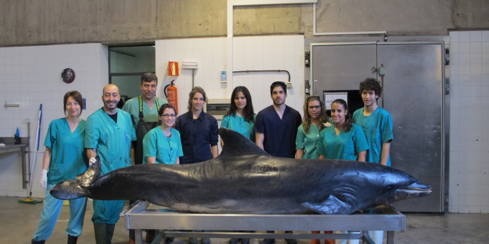 Veterinarios españoles publican el efecto letal en delfines de biotoxinas en aguas europeas