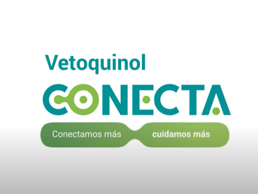 Vet conecta 2