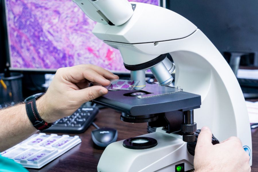 citología microscopio