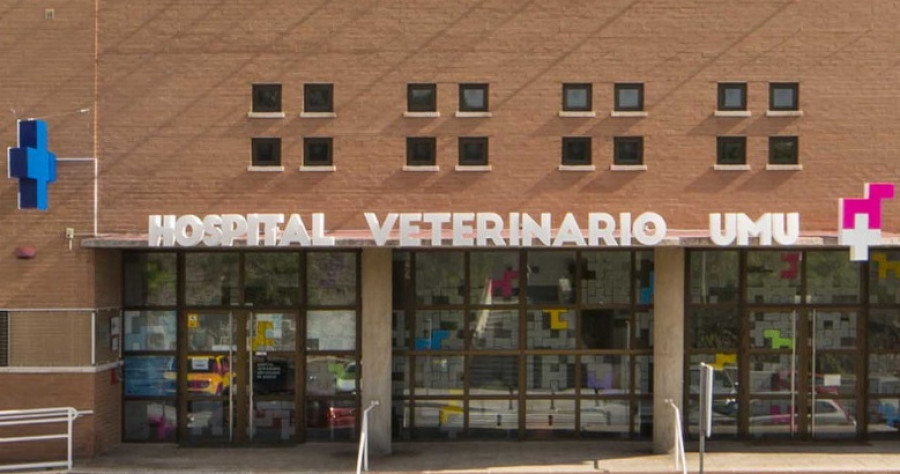 Hospital veterinario murcia