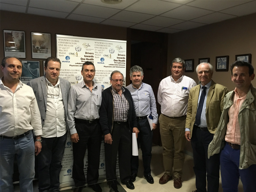 Miembros fesvet junta directiva