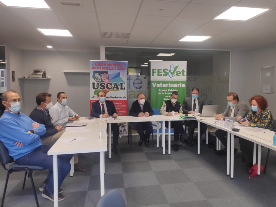 Junta fesvet