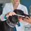 Ideas erróneas entre los dueños respecto al cuidado dental en perros