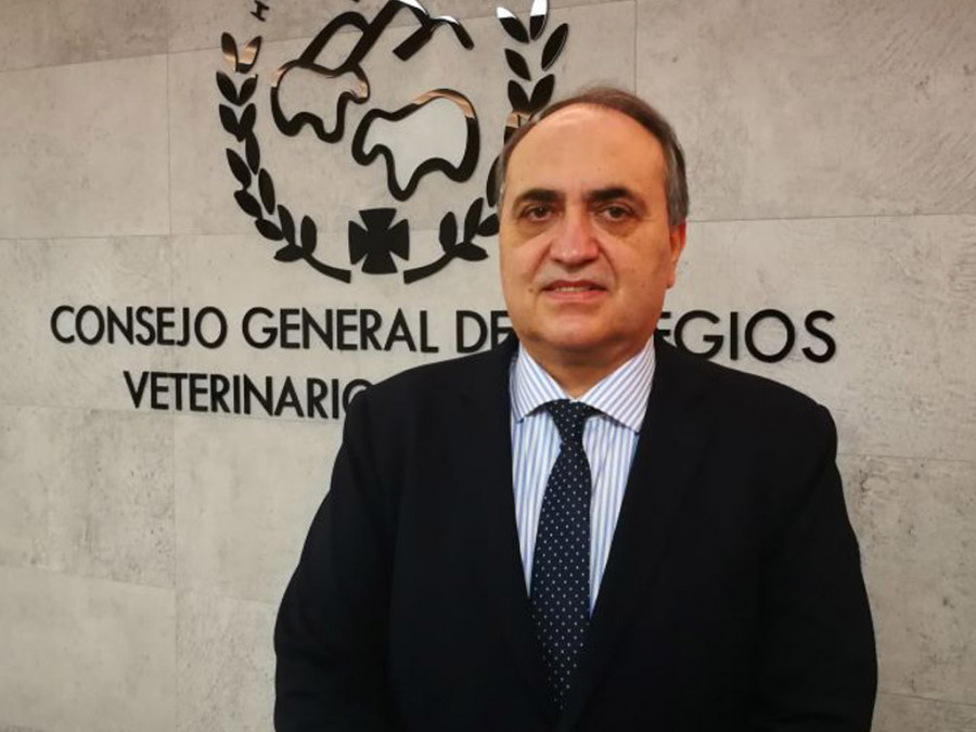 Luis alberto calvo presidente ocv
