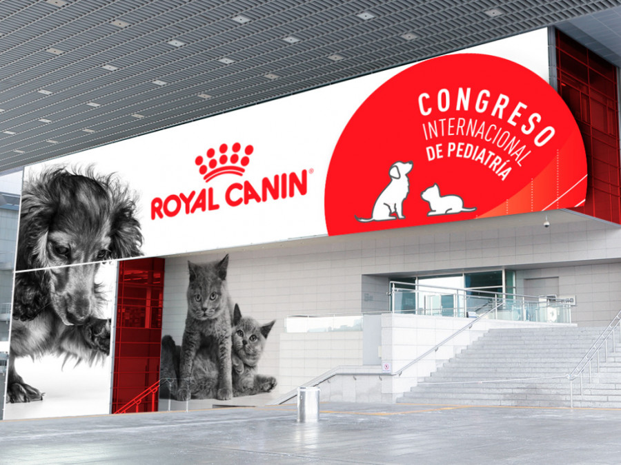 Congreso internacional pediatría royal canin