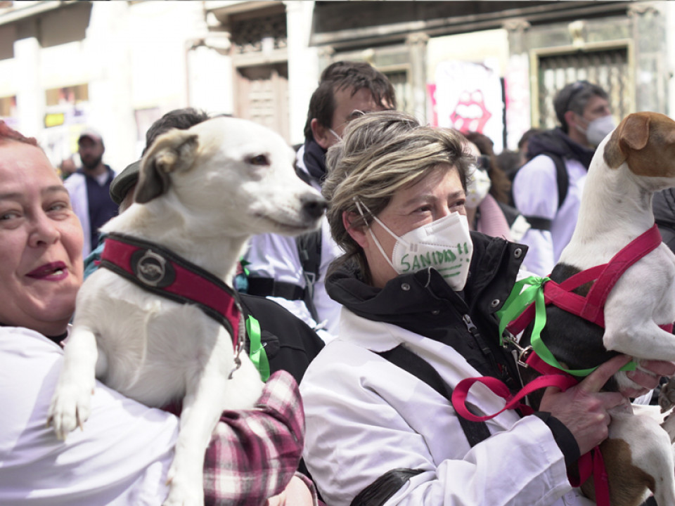 Algunos veterinarios han acudido junto a sus mascotas