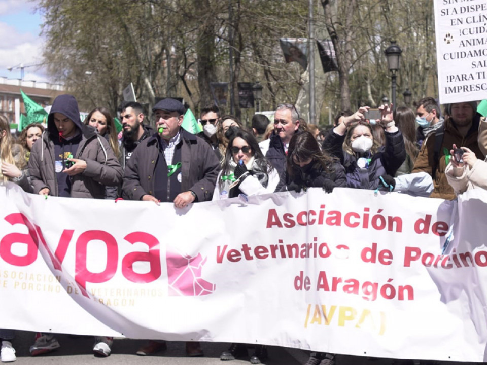Asociación de Veterinarios de Porcino de Aragón